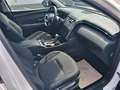 Hyundai TUCSON 1.6 crdi 48V Exellence 2wd dct Bianco - thumbnail 10
