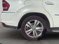 Mercedes-Benz GL 350 cdi BE Sport 7 4matic auto my11 Blanc - thumbnail 20