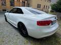 Audi A5 A5 3.0 TDI DPF quattro S tronic Weiß - thumbnail 5