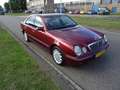 Mercedes-Benz E 320 CDI Avantgarde Rood - thumbnail 7
