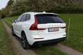 Volvo XC60 D4 Momentum Pro AHK*ACC*BLIS*STHZG*V-LED Weiß - thumbnail 2