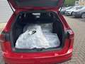Volkswagen Golf VIII Variant 1.5 TSI R-Line LED+ ACC NAVI Rot - thumbnail 9