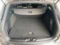 Ford Focus Turnier 1.0 EcoBoost ST-Line Gris - thumbnail 18