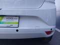 Dacia Sandero SCe 65 Weiß - thumbnail 18