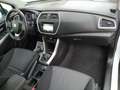 Suzuki S-Cross 1.6 DDiS 4WD All Grip Top Finanziato White - thumbnail 4