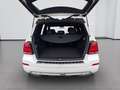 Mercedes-Benz GLK 220 GLK 220 CDI BlueEfficiency 4Matic 1.Hand Blanc - thumbnail 15
