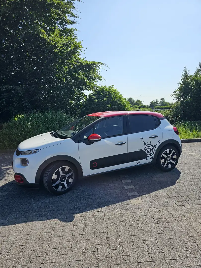 Citroen C3 Shine   Zahnriemen neu Weiß - 1