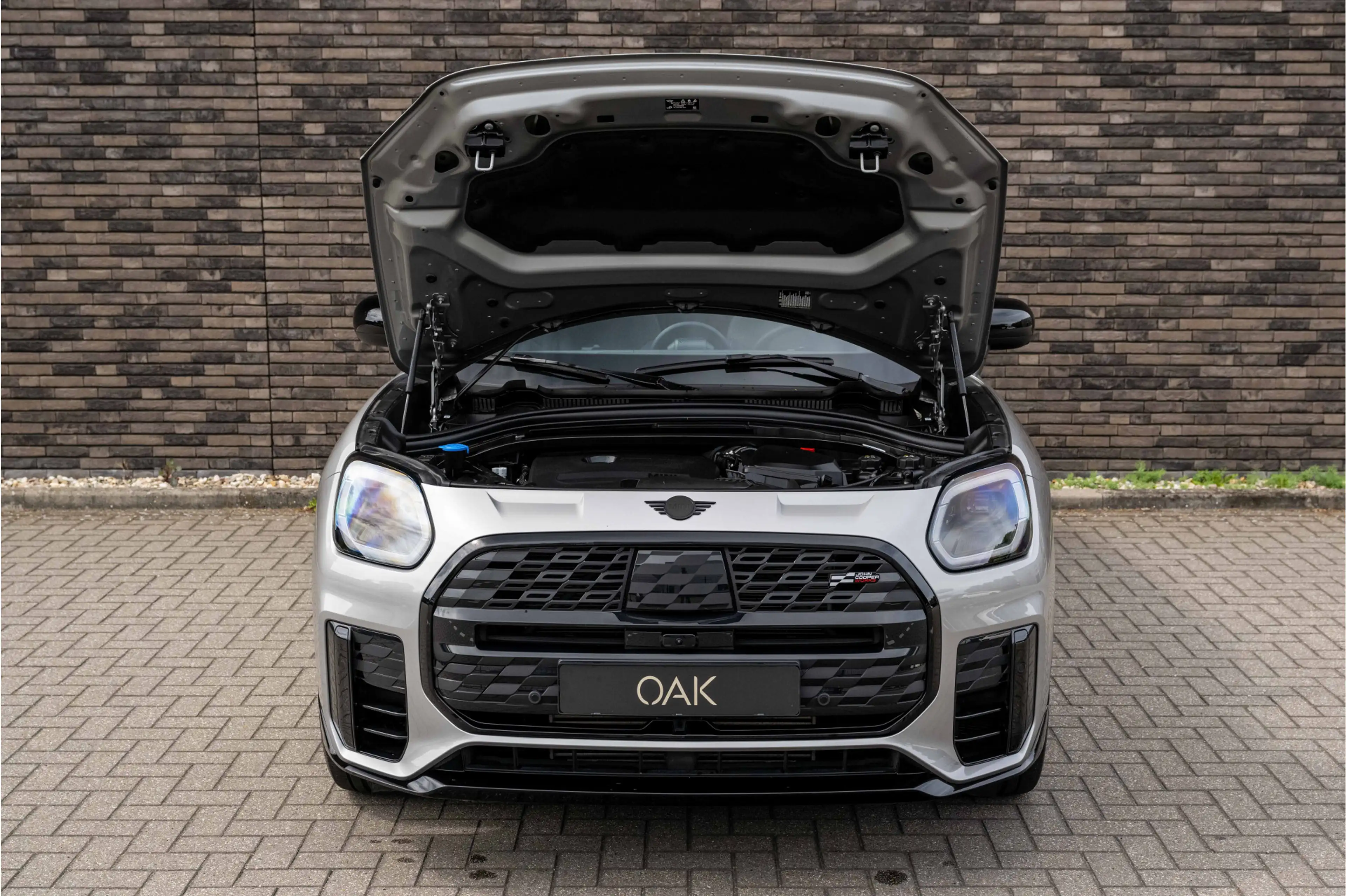 MINI Countryman S All4 2.0 John Cooper Works XL | Panorama | L... — photo 9