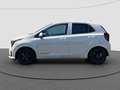Kia Picanto 1.0 DPI DynamicPlusLine | DEMO AUTO | Privacy Glas Beige - thumbnail 12