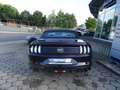 Ford Mustang 5.0 V8 GT Convertible +Magneride+Premiumpaket II Modrá - thumbnail 6