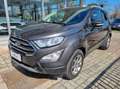 Ford EcoSport 1.0 ecoboost Titanium 100cv Grigio - thumbnail 1