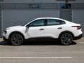 Citroen C4 X C4 X 1.2 PureTech 100 YOU Weiß - thumbnail 2