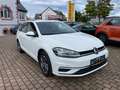 Volkswagen Golf 7 Variant 2,0TDI Sound Navi,ACC,RCD,AHK, Weiß - thumbnail 4