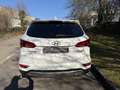 Hyundai SANTA FE 2.2 crdi XPOSSIBLE 4wd auto UNICOPROPRIETARIO Blanco - thumbnail 8
