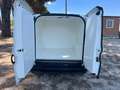 Fiat Doblo Doblò 1.3 MJT PC-TN Cargo Lamierato Blanco - thumbnail 11