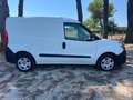 Fiat Doblo Doblò 1.3 MJT PC-TN Cargo Lamierato Blanco - thumbnail 4