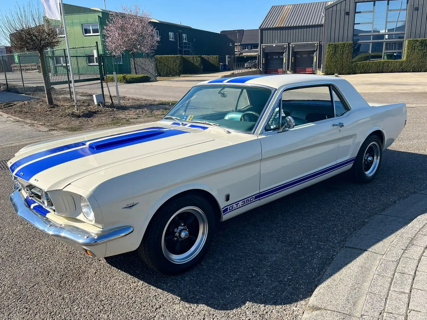 Ford Mustang Coupe 4.7 V8 Blanc - 1
