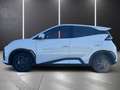 BYD Dolphin Surf Boost Schwarz - thumbnail 3