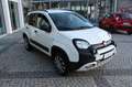 Fiat Panda Cross 0.9 TwinAir Turbo S&S 4x4 Bianco - thumbnail 5