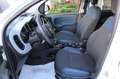 Fiat Panda Cross 0.9 TwinAir Turbo S&S 4x4 Bianco - thumbnail 6