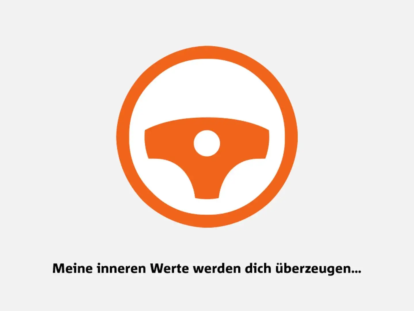 Volkswagen Tiguan Sky TDI BMT 4MOTION DSG Grau - 2