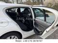 BMW 116 1 Limousine 5-trg. Advantage M Paket *NAVI* Weiß - thumbnail 19