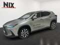 Lexus NX 350h 2.5 Hybrid Executive Line 360° KLIMA Argent - thumbnail 1