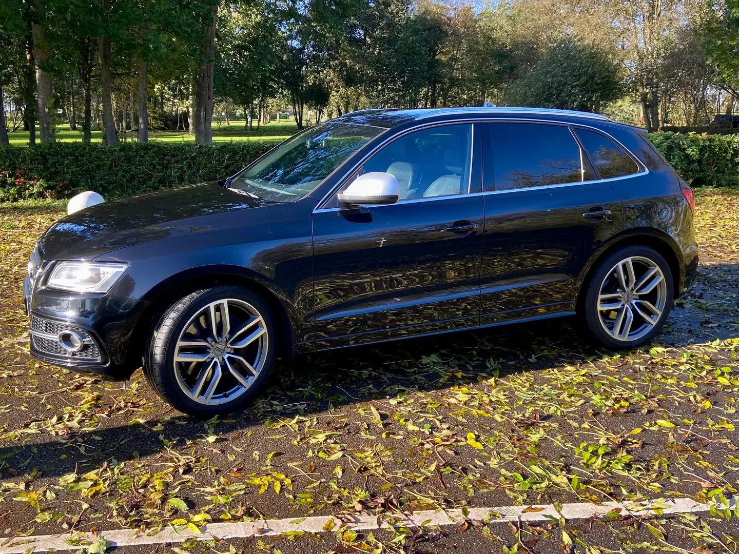 Audi SQ5 Q5 3.0 TDI SQ5 q. Pro L Černá - 1
