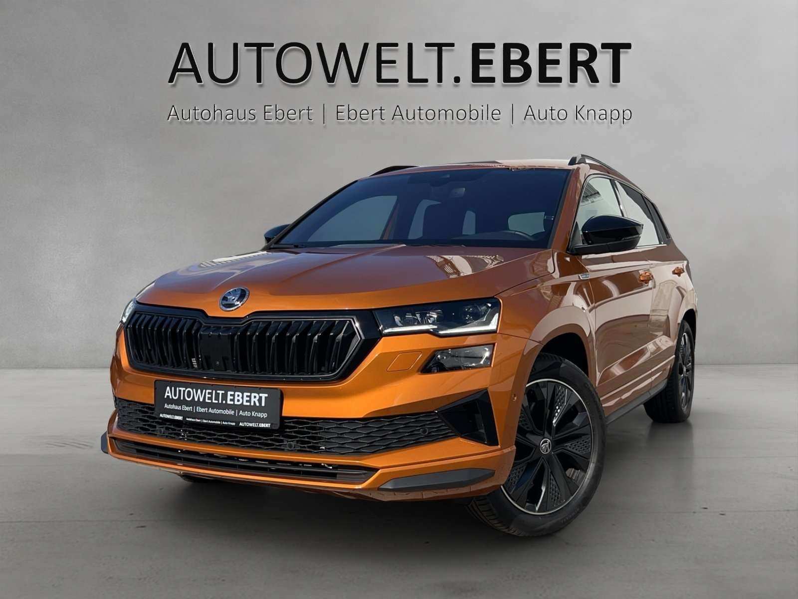 2023 Skoda Karoq
