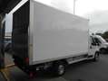 Fiat Ducato FIAT 2.2 MTJ 140 CV PAQUETERA CON TRAMPILLA Blanco - thumbnail 3