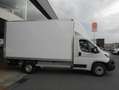 Fiat Ducato FIAT 2.2 MTJ 140 CV PAQUETERA CON TRAMPILLA Blanco - thumbnail 7