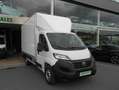 Fiat Ducato FIAT 2.2 MTJ 140 CV PAQUETERA CON TRAMPILLA Blanco - thumbnail 6