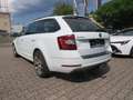 Skoda Octavia Drive 4x4 Blanc - thumbnail 5