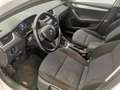 Skoda Octavia Combi 1.6 TDI DPF Active-AHZV-DAB-Navi-Klima- Bianco - thumbnail 13