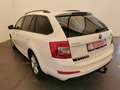 Skoda Octavia Combi 1.6 TDI DPF Active-AHZV-DAB-Navi-Klima- Bianco - thumbnail 6