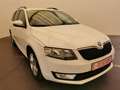 Skoda Octavia Combi 1.6 TDI DPF Active-AHZV-DAB-Navi-Klima- Bianco - thumbnail 2