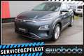 Hyundai KONA Kona Elektro Level 5 Grau - thumbnail 1
