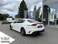 Kia Stinger GT 3.3 T-GDI V6|Memory+HeadUp+Sitzbelüft Bianco - thumbnail 4