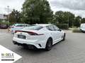Kia Stinger GT 3.3 T-GDI V6|Memory+HeadUp+Sitzbelüft Bianco - thumbnail 5