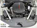Kia Stinger GT 3.3 T-GDI V6|Memory+HeadUp+Sitzbelüft Bianco - thumbnail 13
