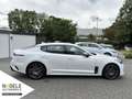Kia Stinger GT 3.3 T-GDI V6|Memory+HeadUp+Sitzbelüft Bianco - thumbnail 6
