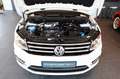 Volkswagen Caddy 2.0 TDI BMT Comfortline NAVI BI-XENON ACC Weiß - thumbnail 21