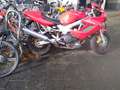 Honda VTR 1000 Rood - thumbnail 2