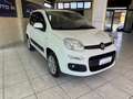 Fiat Panda 0.9 t.air t. Trussardi s&s 85cv - thumbnail 3