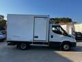 Iveco Daily 35C14 Blanc - thumbnail 7