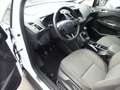 Ford Grand C-Max Grand C-MAX Titanium *7-Sitzer* Blanc - thumbnail 12