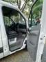 Volkswagen Crafter 3799€ NETTO 30  L1H1 Kasten (2E) Wit - thumbnail 10