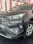 Toyota RAV 4 2.5 hybrid 2WD Luxury Gris - thumbnail 6