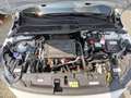 Opel Corsa-e Edition+SHZ+LED+DAB+USB+PDC+CAR PLAY+ Weiß - thumbnail 6