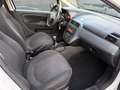 Fiat Punto 1.3Mjt 16v Feel/Class Wit - thumbnail 8